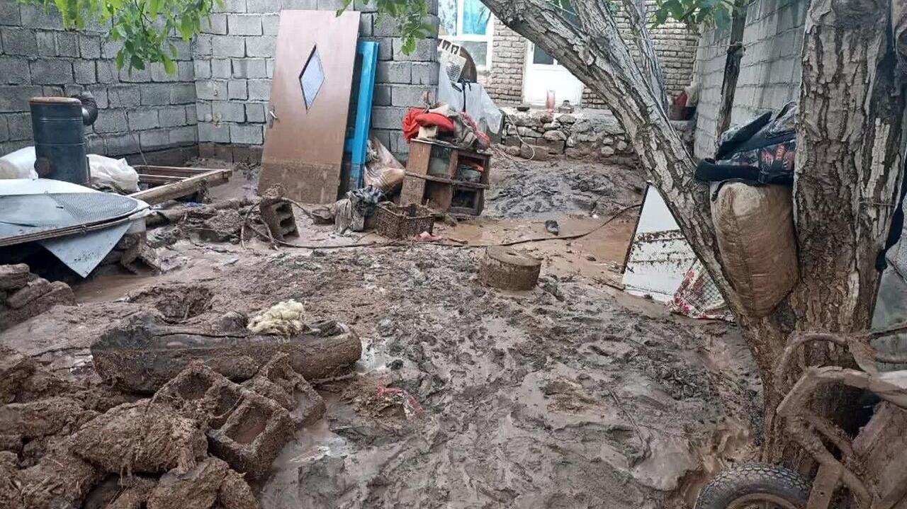 پرداخت بیش از ۱۴۳ میلیارد ریال تسهیلات به آسیب‌دیدگان حوادث غیرمترقبه در بانک مسکن طی سال جاری / بانک مسکن، همراه پایدار روزهای سخت