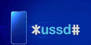 رتبه نخست بانک قرض الحسنه رسالت در پذیرش کدهای دستوری USSD