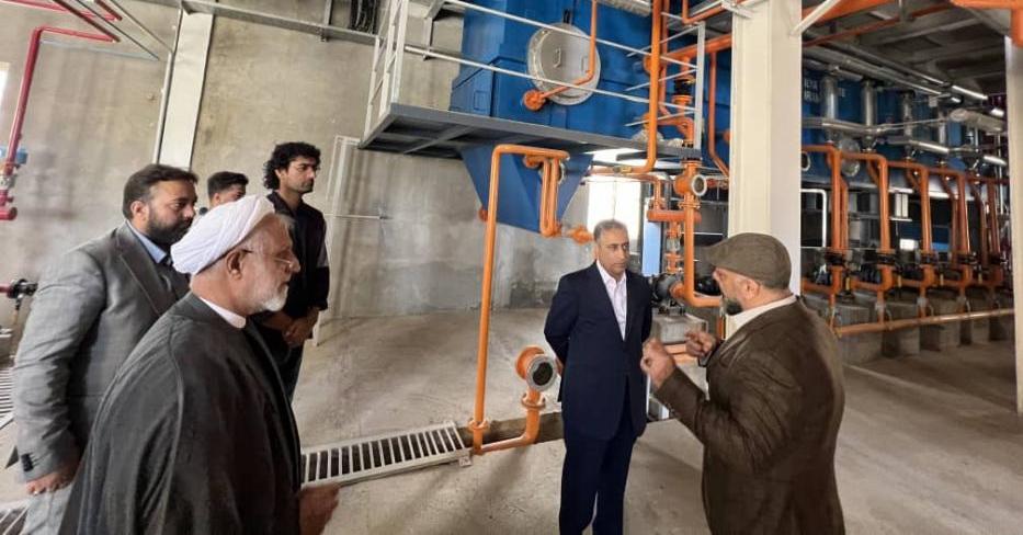 بازگشت"ایلیا ذرت سبز" به چرخه تولید در غرب كشور