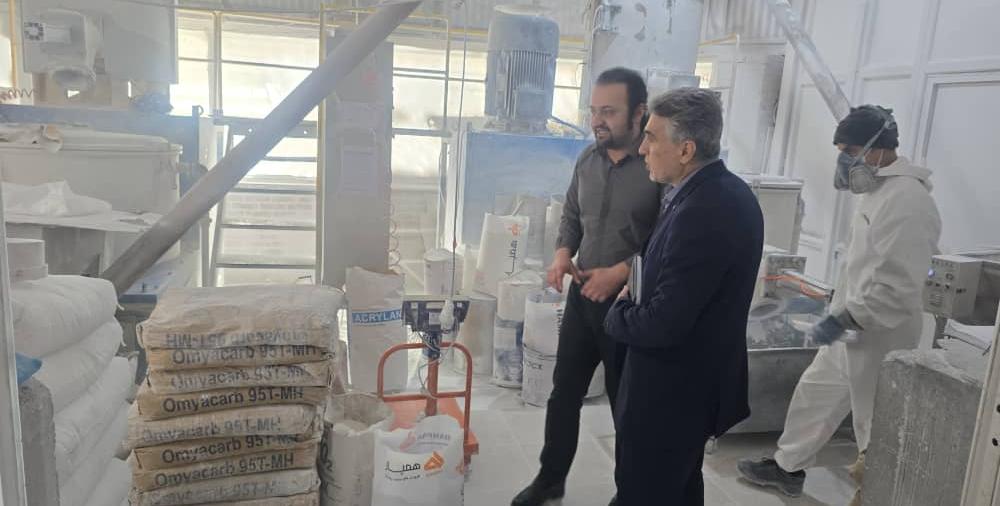 برنامه های حمایتی بانک توسعه صادرات ایران برای صنایع صادراتی استان اردبیل