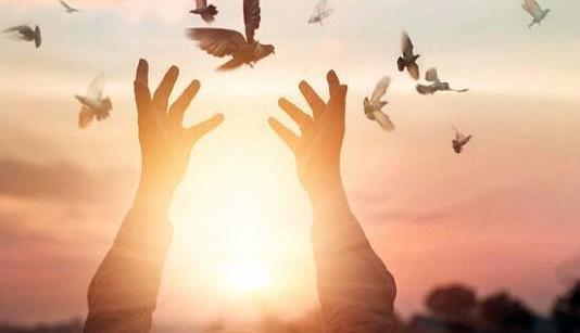 آزادی ۱۱۹ زندانی جرایم غیرعمد؛ ثمره مهربانی بی‌وقفه