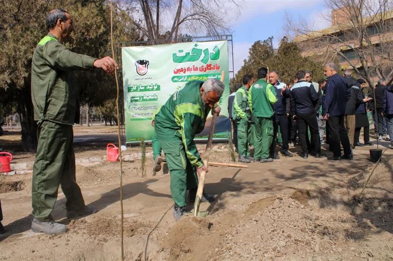 درختكاری، هدیه‌ای ماندگار به زمین