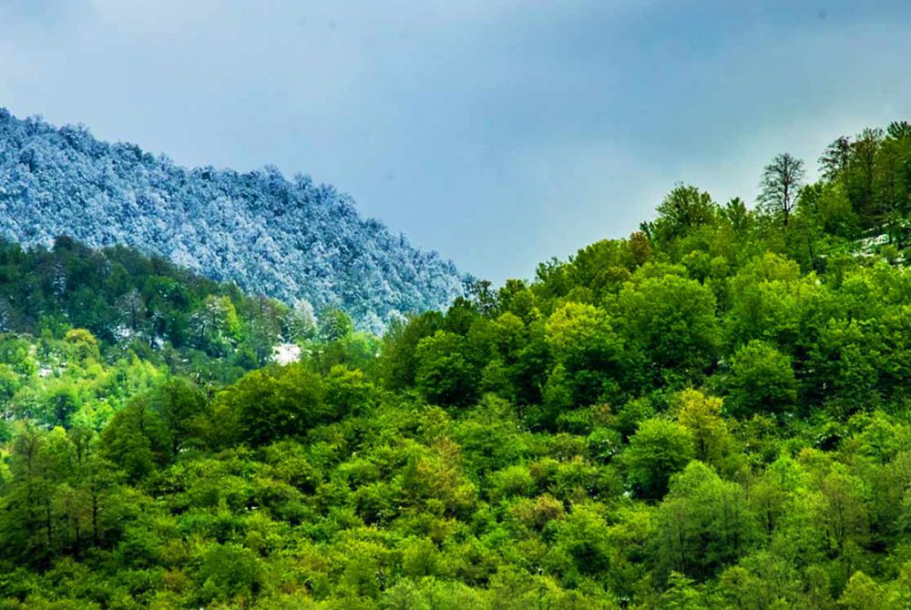 بانک ملی ایران گام دیگری در مسیر خروج از بنگاهداری برداشت؛ واگذاری 100 درصد سهام نکاچوب